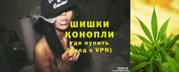 стаф Лабытнанги